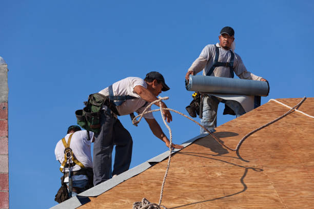 Best Roof Gutter Cleaning  in Hailey, ID