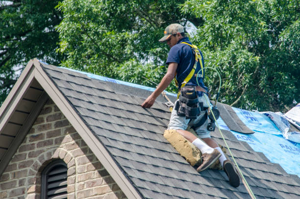 Best Roof Gutter Cleaning  in Hailey, ID